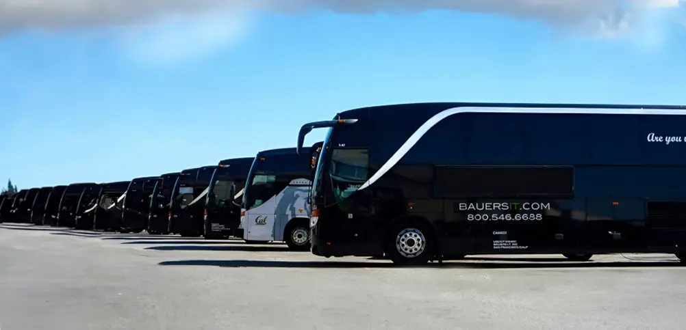 buses