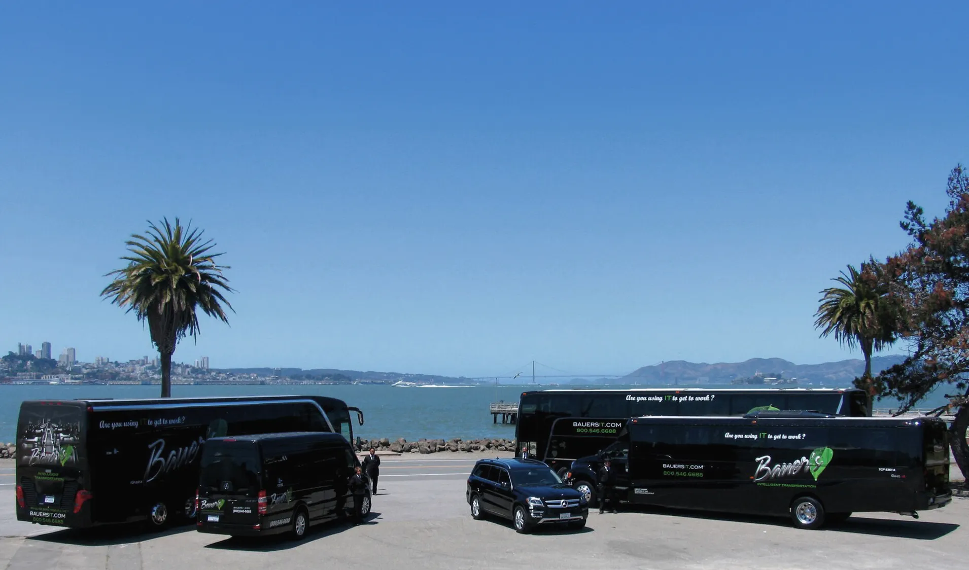 bauer's transportation