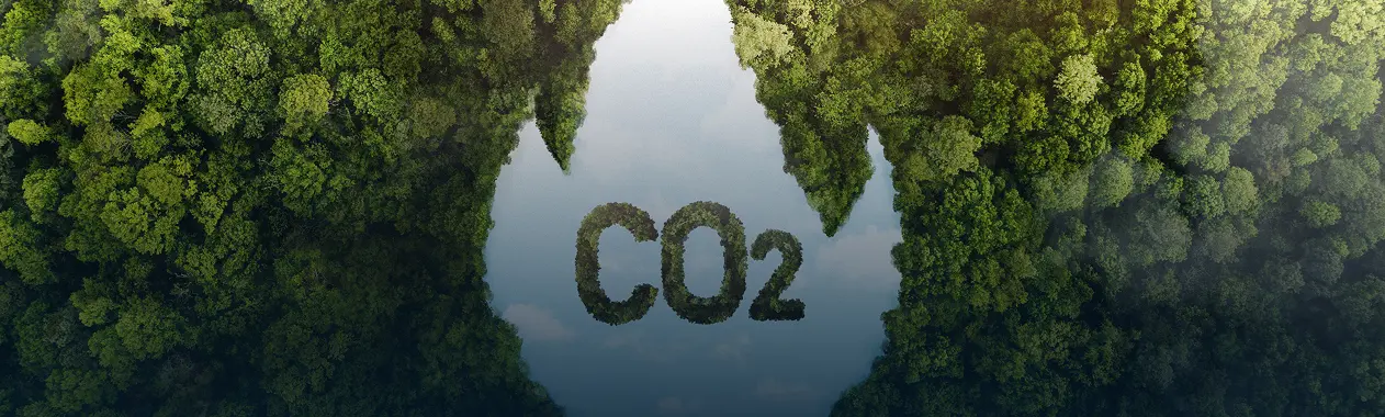 Carbon Reduction & Offsetting