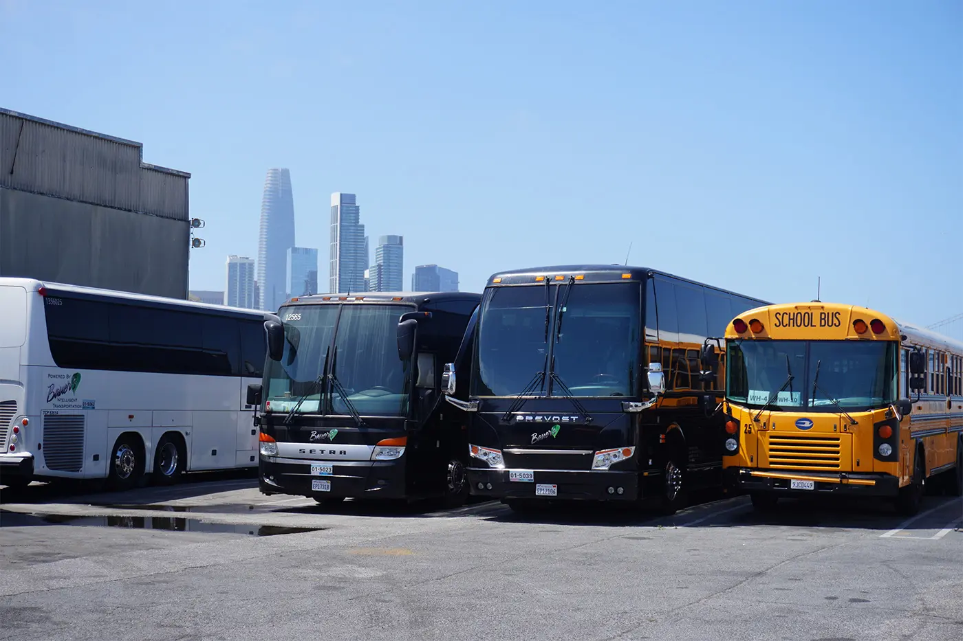 Eco-Friendly Fleet