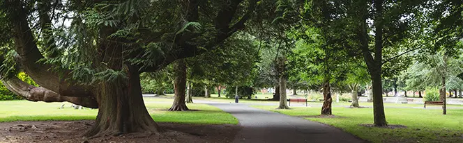 Santa Rosa