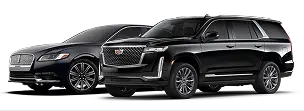 Sedans & SUVS