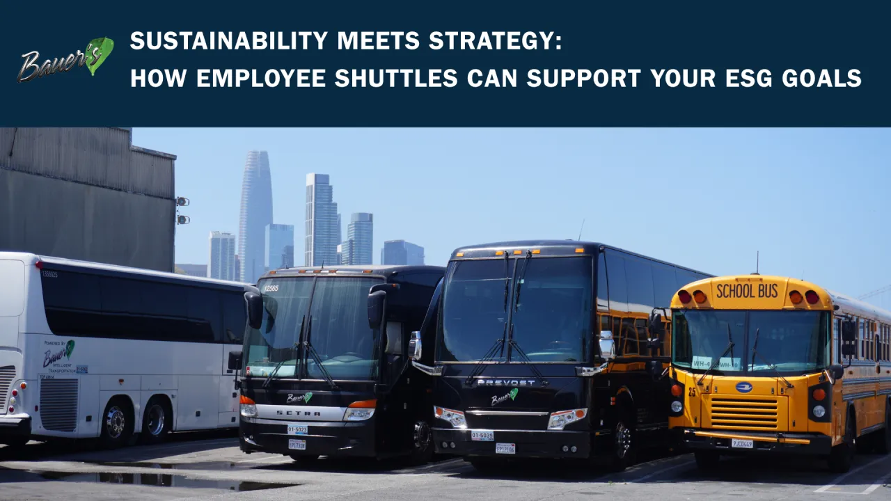 Sustainability Meets Strategy