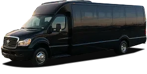 Fleet Party Buses
