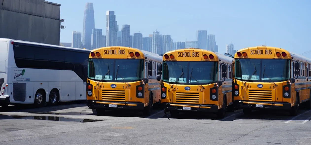 school buses