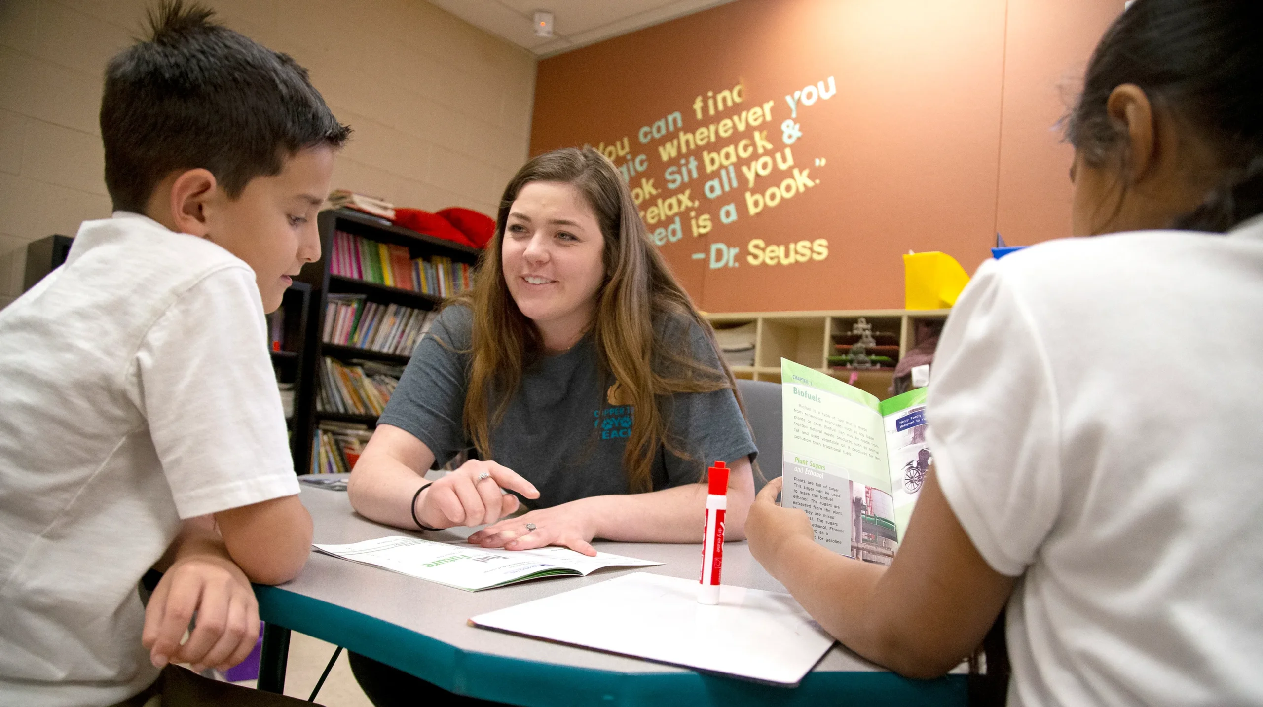 A Teacher Organizing 