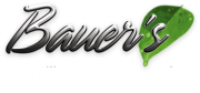 default-logo